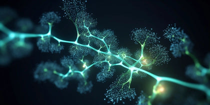 Synergia kofeiny i L-teaniny: nauka o spokojnej energii