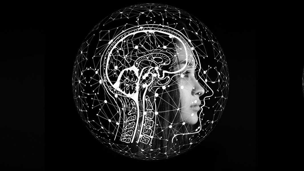 Jak witaminy z grupy B wspierają wydajność mózgu i metabolizm energii