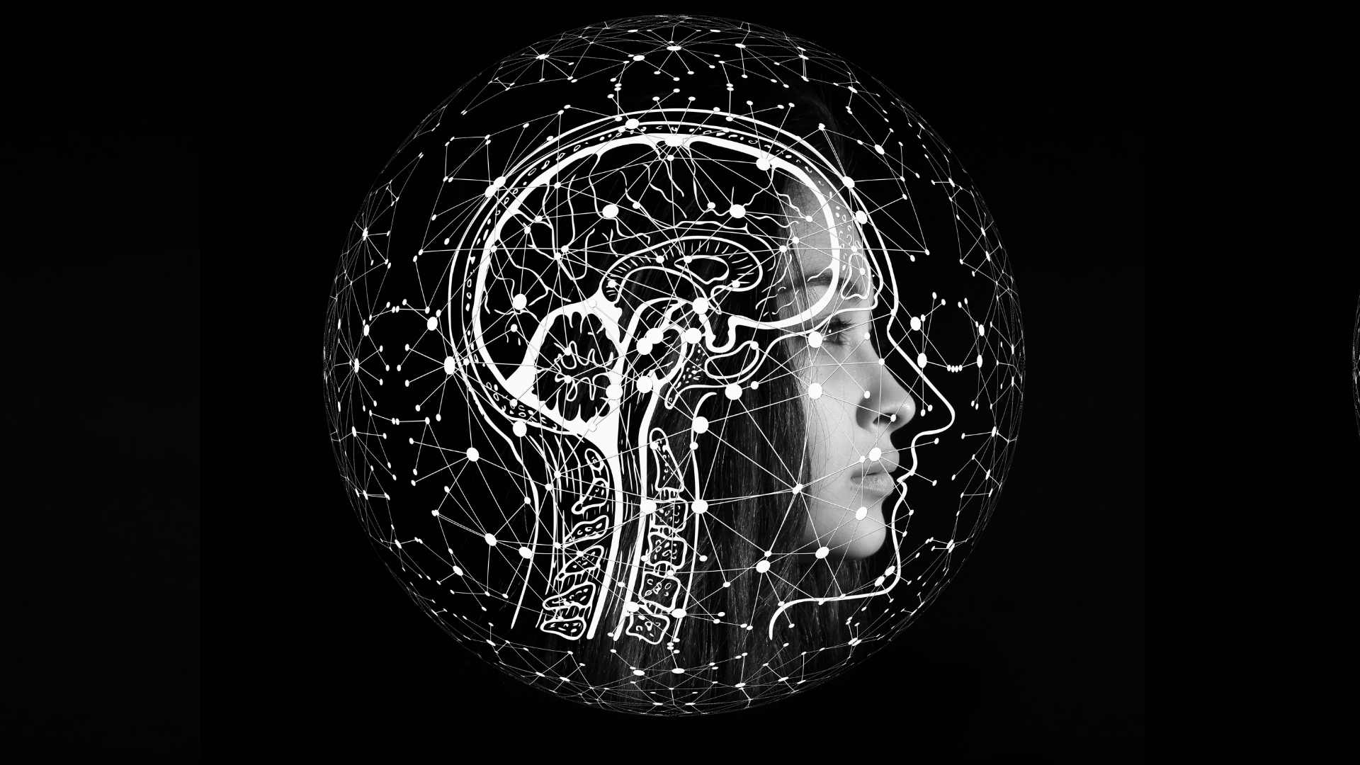 Jak witaminy z grupy B wspierają wydajność mózgu i metabolizm energii