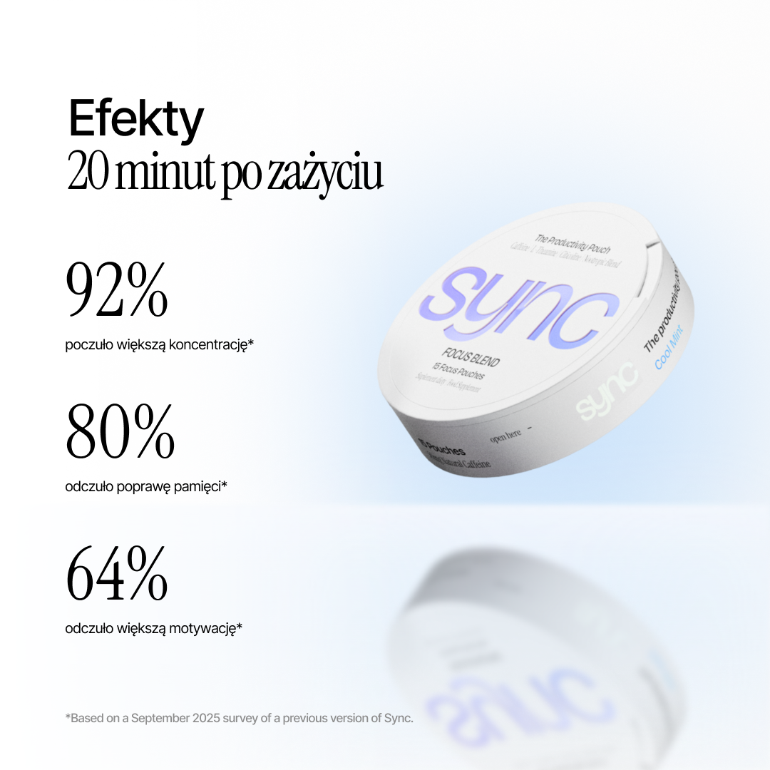 SYNC Productivity Pouches